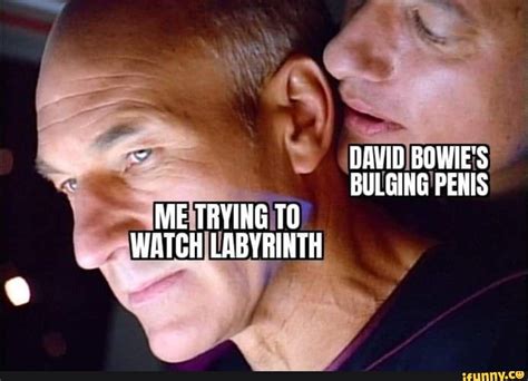 bulge meme|david bowie bulge meme.